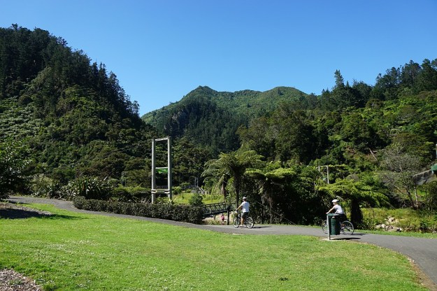DSC03116_MtKarangahake