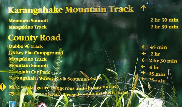 DSC03119_MtKarangahake