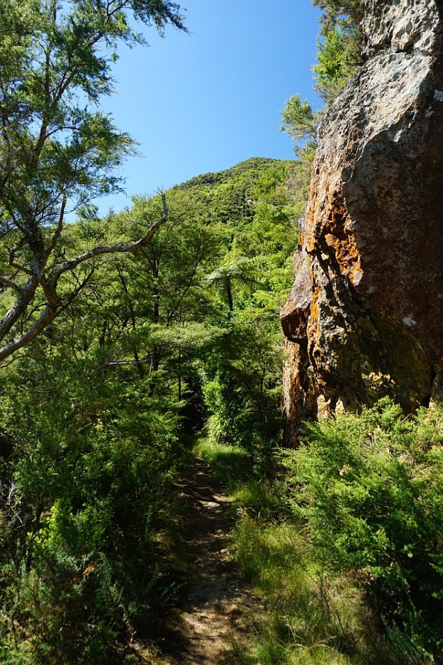 DSC03122_MtKarangahake