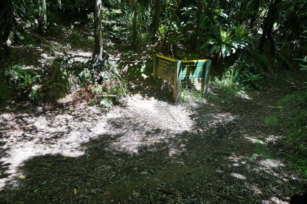 DSC03135_MtKarangahake