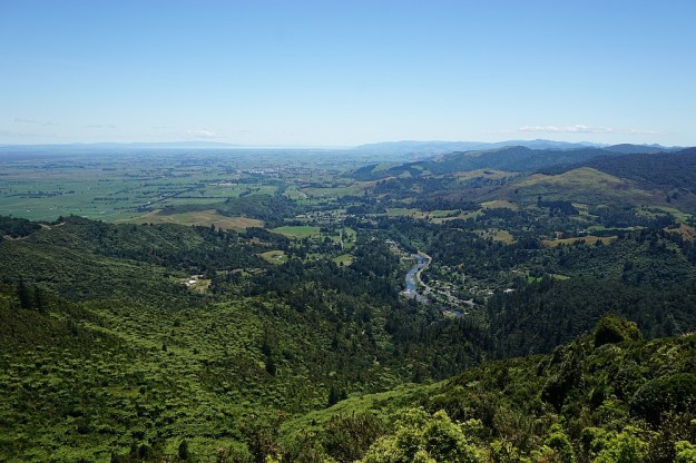 DSC03146_MtKarangahake