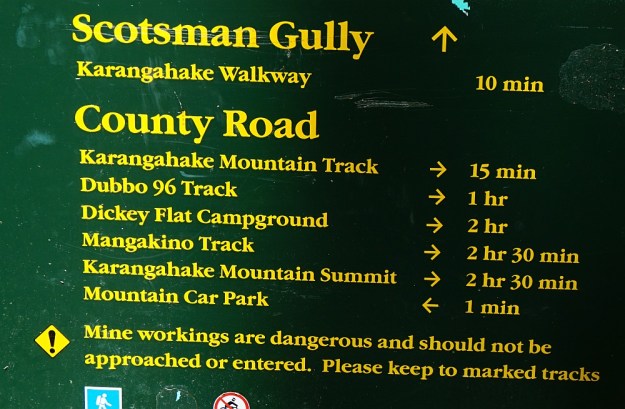 DSC03155_MtKarangahake