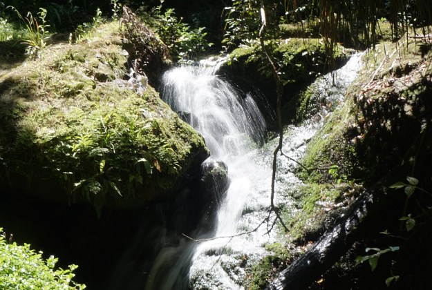 DSC03156_MtKarangahake