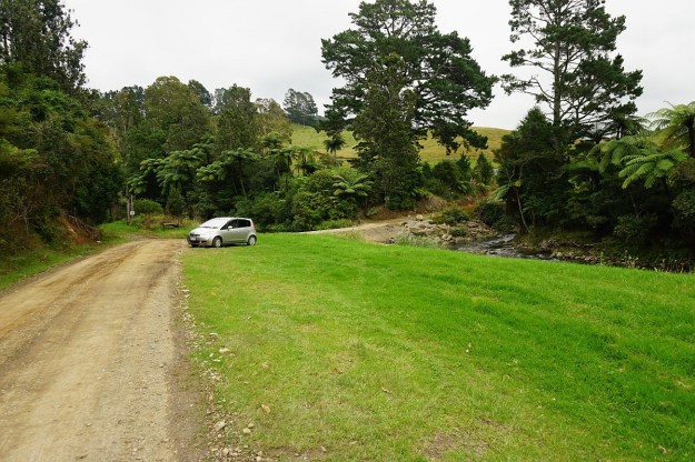 DSC03162_AnanuiFalls