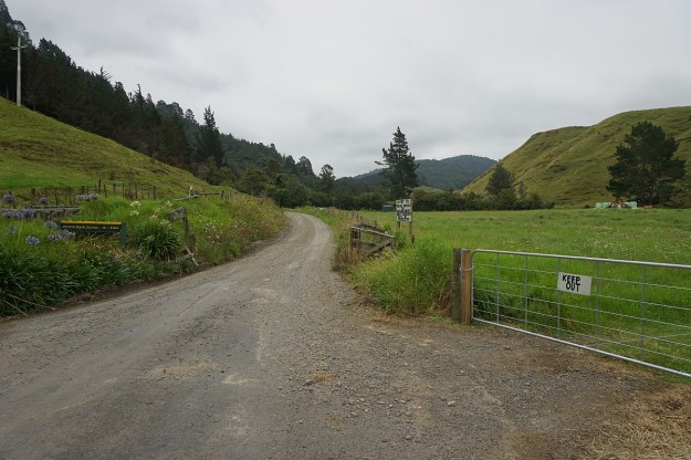 DSC03174_AnanuiFalls