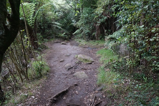 DSC03178_WairereFalls