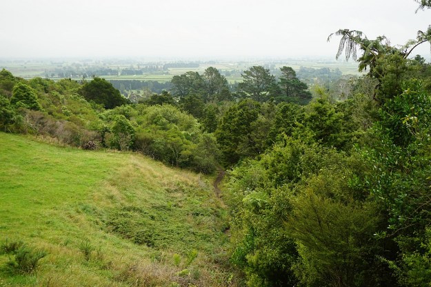 DSC03180_WairereFalls