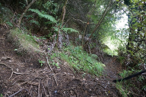 DSC03182_WairereFalls