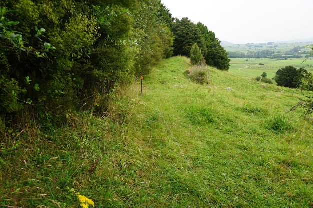 DSC03183_WairereFalls