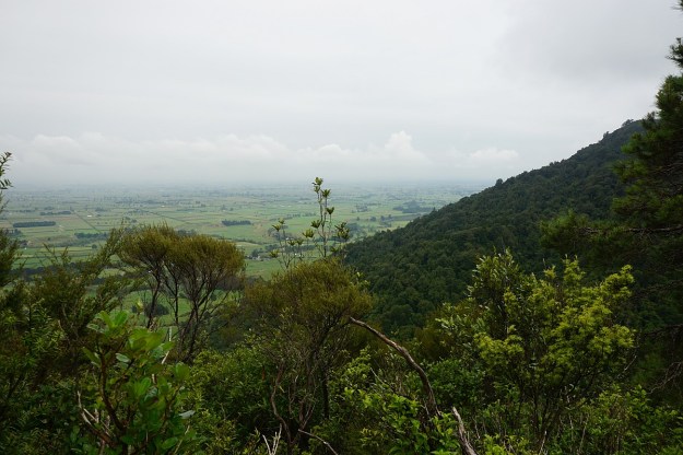 DSC03190_WairereFalls