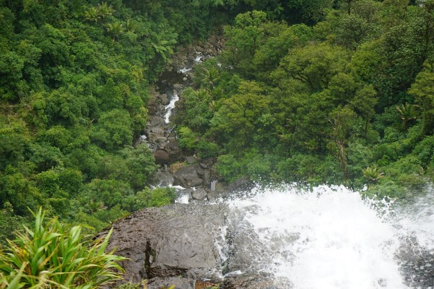 DSC03207_WairereFalls