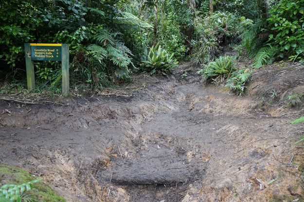 DSC03209_WairereFalls