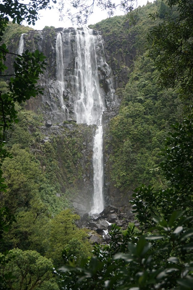 DSC03212_WairereFalls