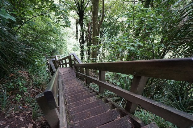 DSC03217_WairereFalls