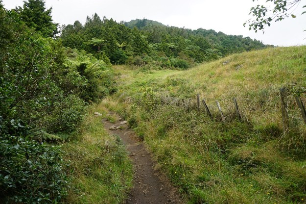 DSC03225_WairereFalls