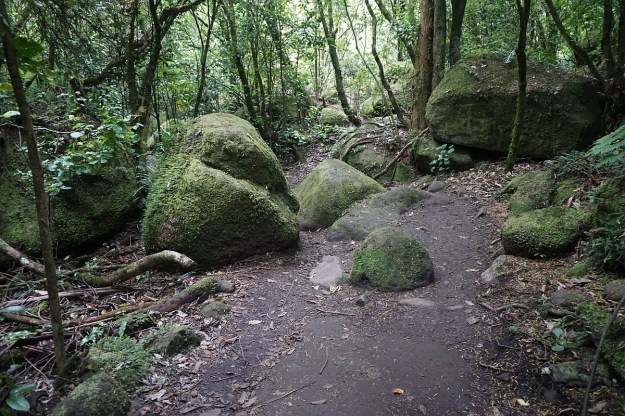 DSC03226_WairereFalls