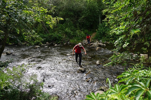 DSC03229_AnanuiFalls