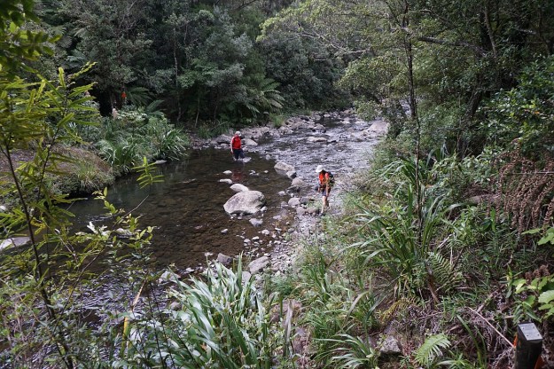DSC03244_AnanuiFalls