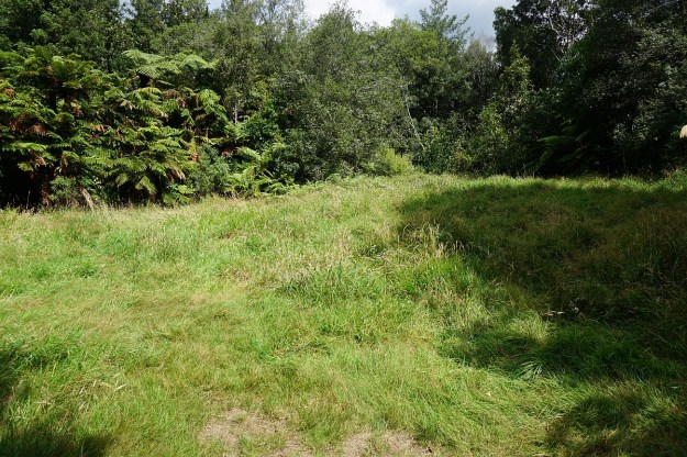 DSC03249_AnanuiFalls