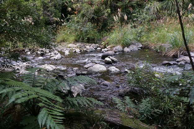 DSC03256_AnanuiFalls