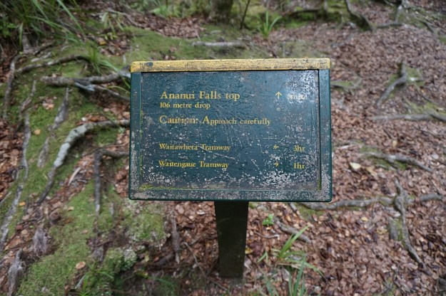 DSC03260_AnanuiFalls