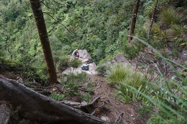 DSC03266_AnanuiFalls