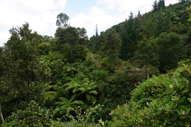 DSC03334_TeArohaTui-Domain