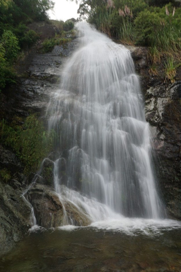 DSC03341_TeArohaTui-Domain