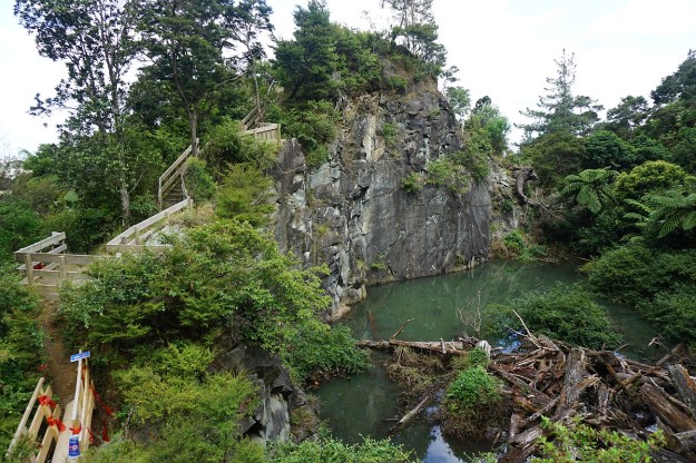 DSC03343_TeArohaTui-Domain