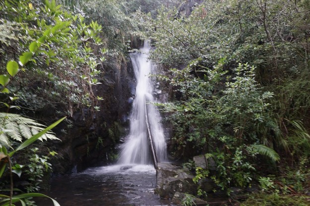 DSC03354_TeArohaTui-Domain