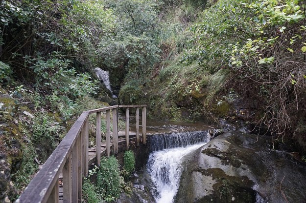 DSC03356_TeArohaTui-Domain