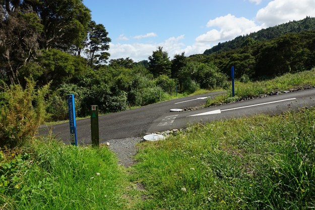 DSC03364_TeArohaTui-Domain