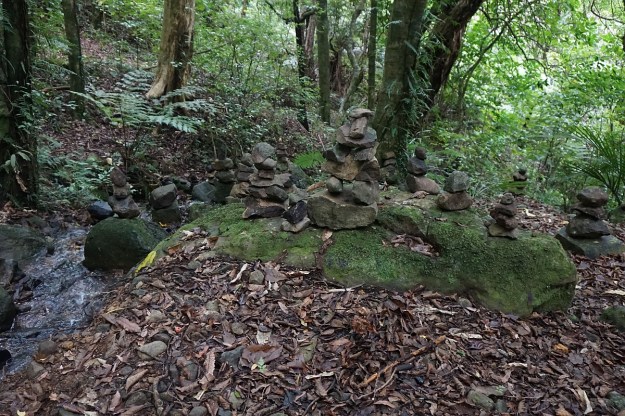 DSC03373_TeArohaTui-Domain