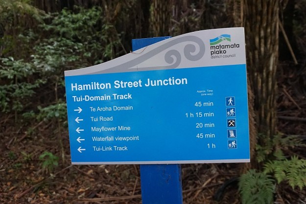 DSC03374_TeArohaTui-Domain