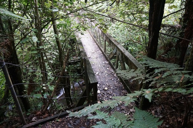 DSC03397_TeArohaTui-Domain