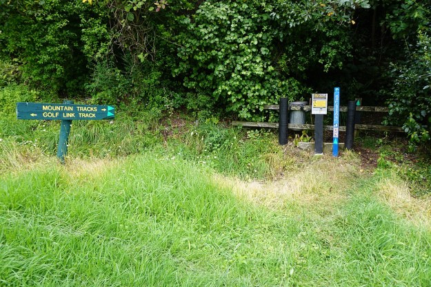 DSC03411_TeArohaTui-Domain