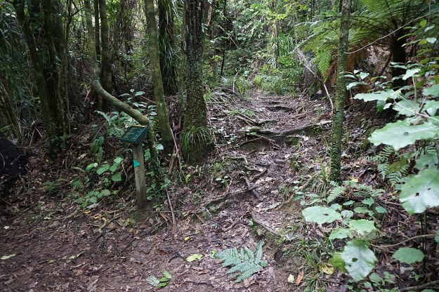 DSC03416_TeArohaTui-Domain