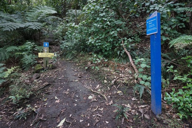 DSC03420_TeArohaTui-Domain