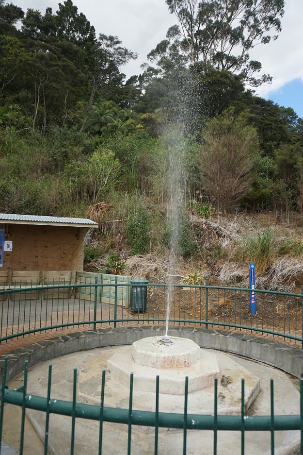 DSC03421_TeArohaTui-Domain