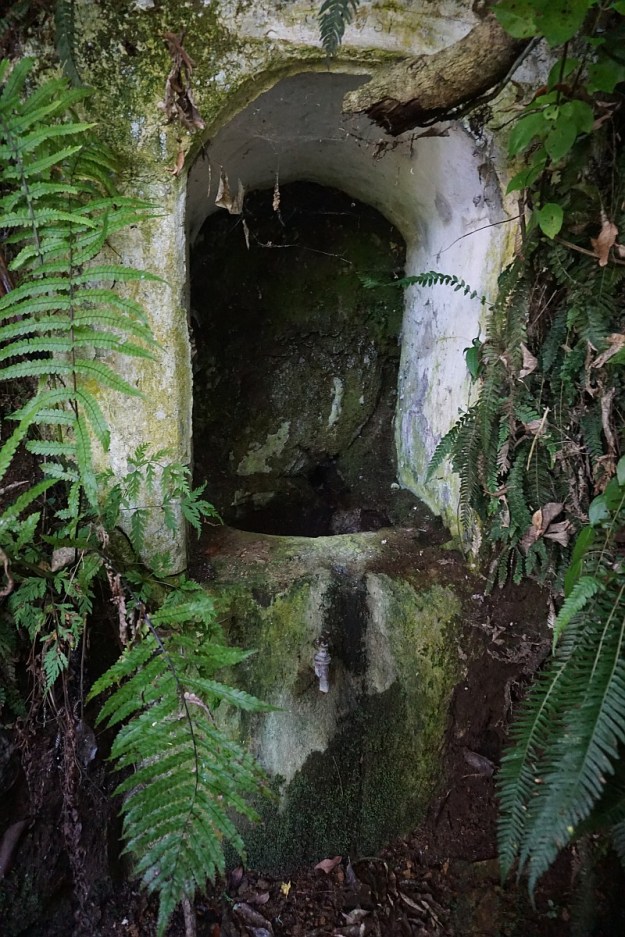 DSC03425_Horsemans_Lipsey