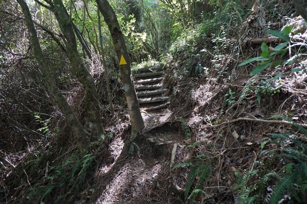 DSC03426_Horsemans_Lipsey