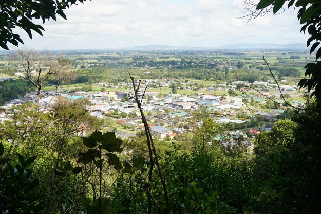 DSC03427_Horsemans_Lipsey