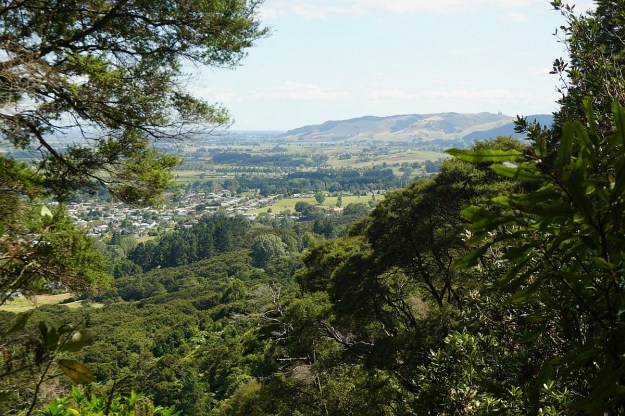 DSC03428_Horsemans_Lipsey