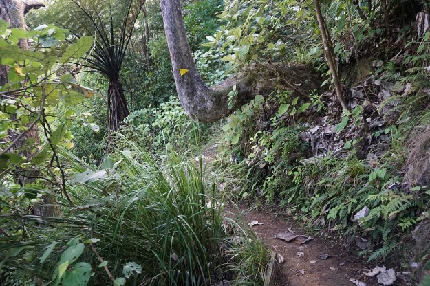 DSC03430_Horsemans_Lipsey