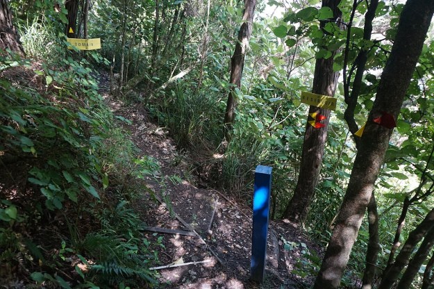 DSC03432_Horsemans_Lipsey