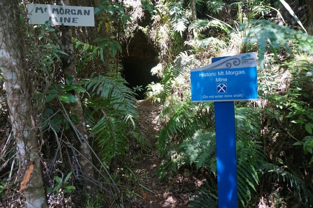 DSC03434_Horsemans_Lipsey