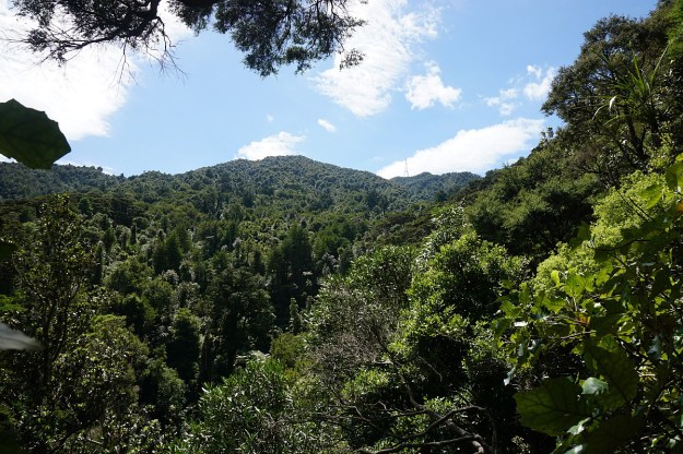 DSC03438_Horsemans_Lipsey