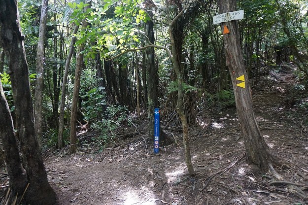 DSC03443_Horsemans_Lipsey