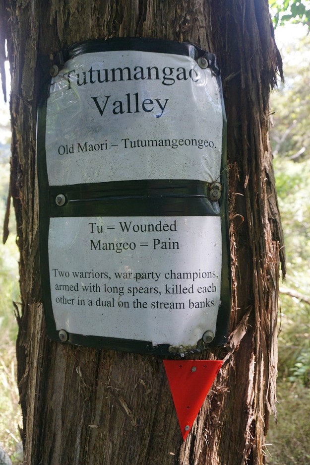 DSC03449_Horsemans_Lipsey