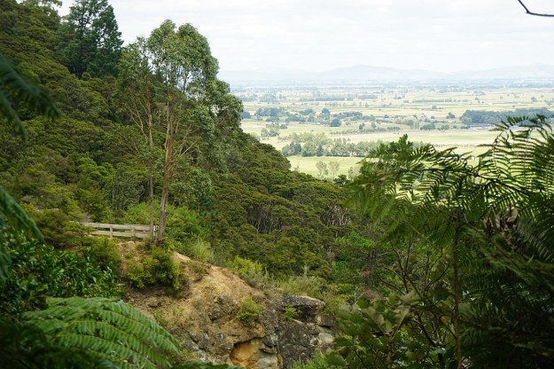 DSC03456_Horsemans_Lipsey